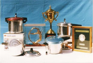 六十年民族品牌雙喜 成就廚具領域的中國Style